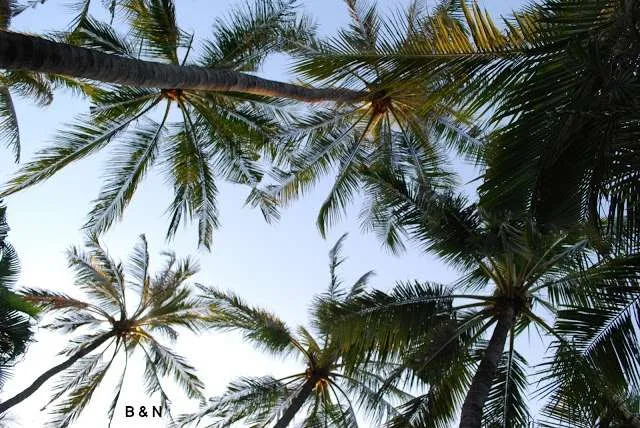 exploring Amed in Bali and its magical beaches