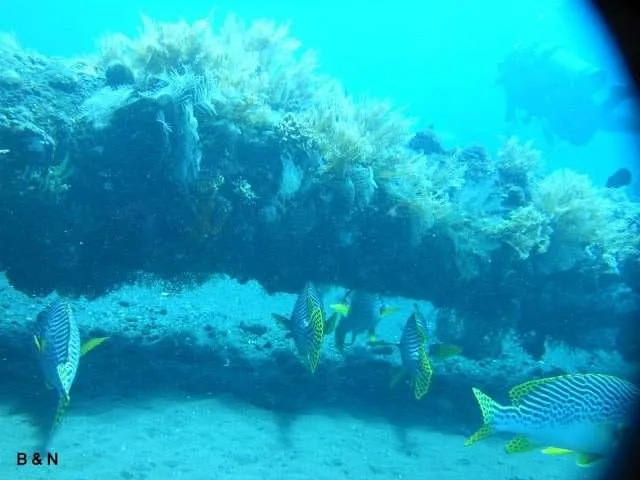 a trip underwater and diving in Tulamben on the island of Bali
