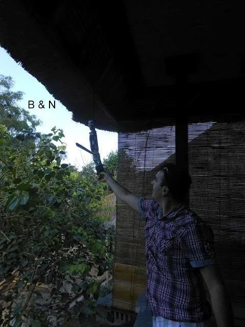 trip to the hearth of the island of Bali in Indonesia