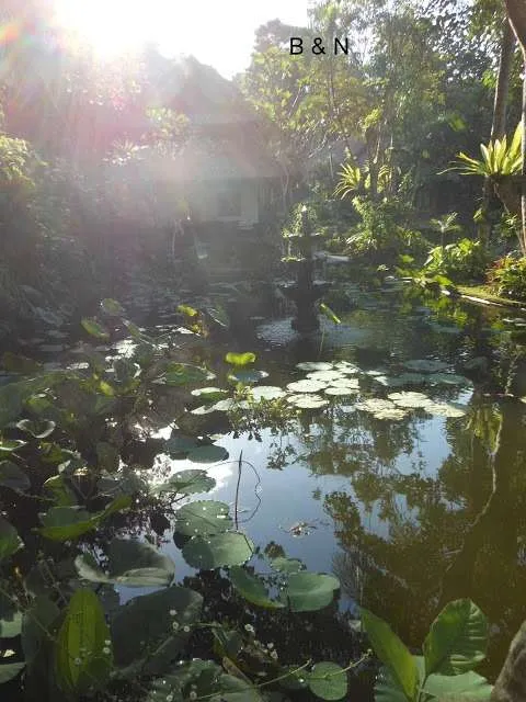 trip to the hearth of the island of Bali in Indonesia