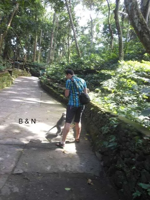 traveling to the Udub jungle in Bali