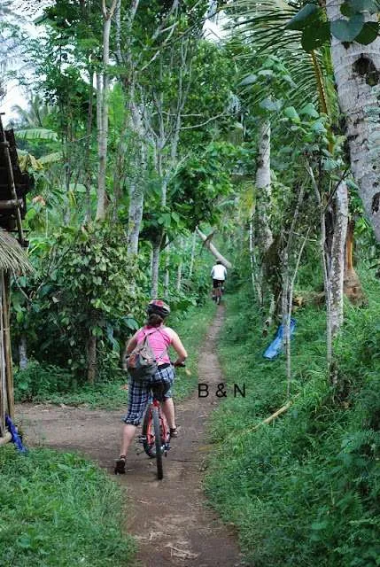 Bali on a bike - fields, villages, roads