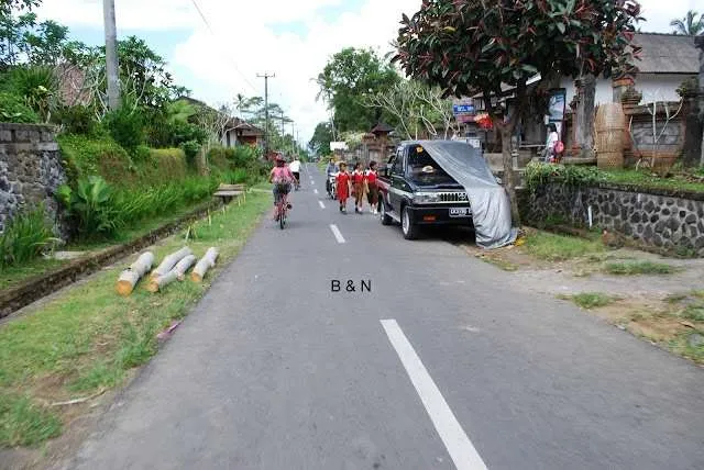 Bali on a bike - fields, villages, roads