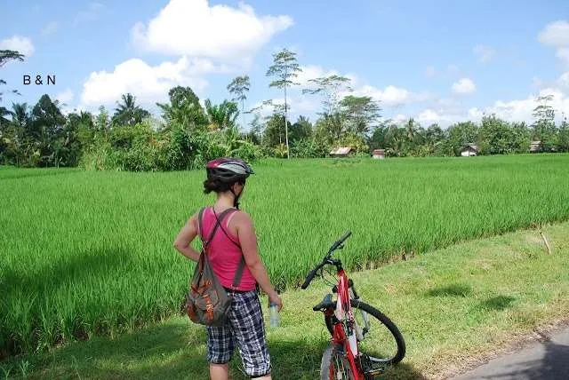 Bali on a bike - coffee plantation