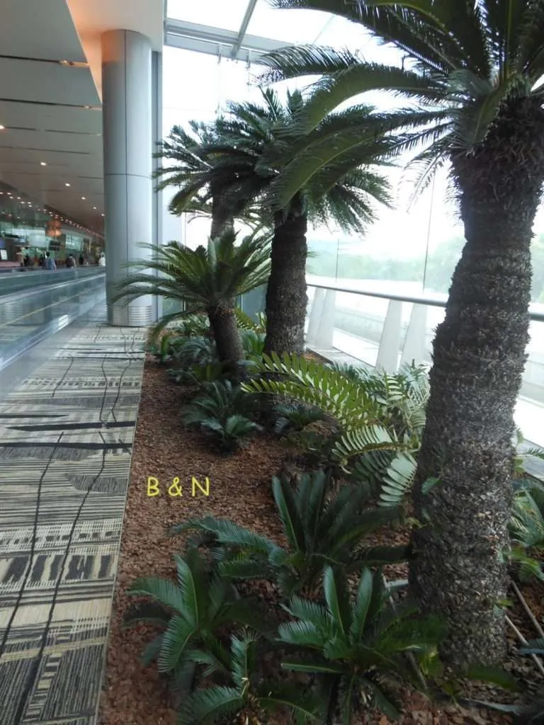 Singapore airport