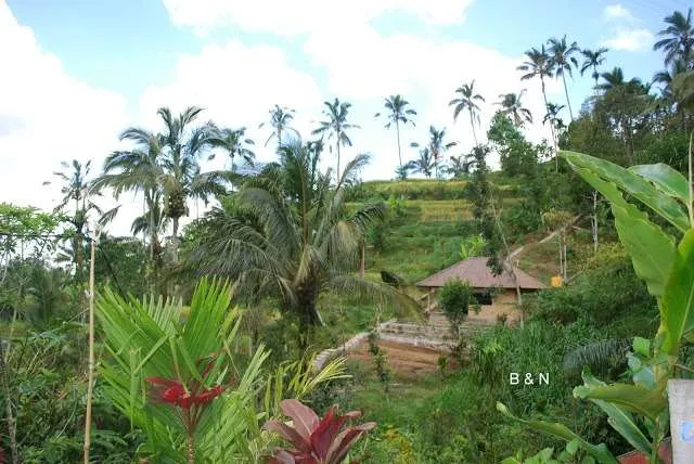 exploring the beauties in the North of island Bali in Indonesia