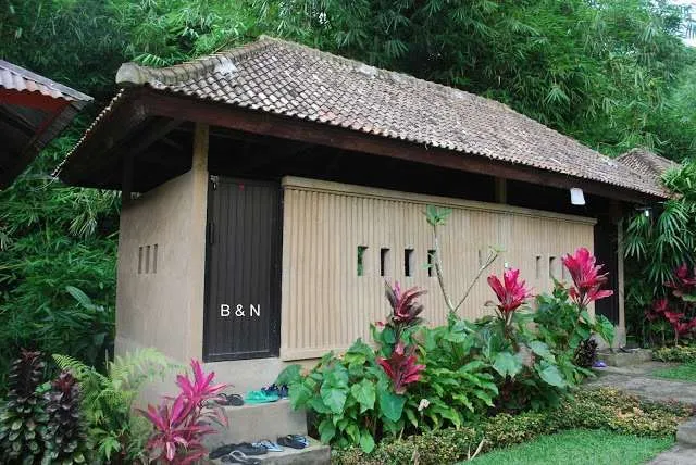 exploring the beauties in the North of island Bali in Indonesia