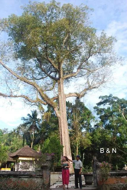 the end of our journey in Bali