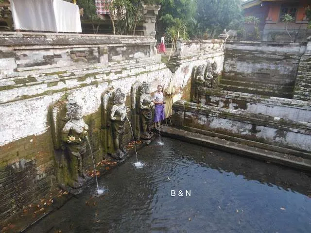 the end of our journey in Bali