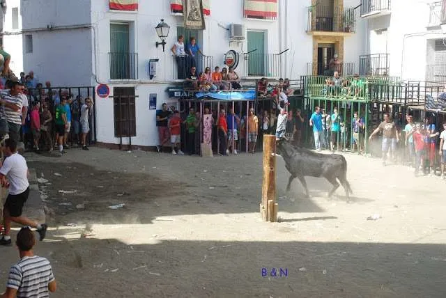 celebration with bulls in a village near Valencia in Spain
