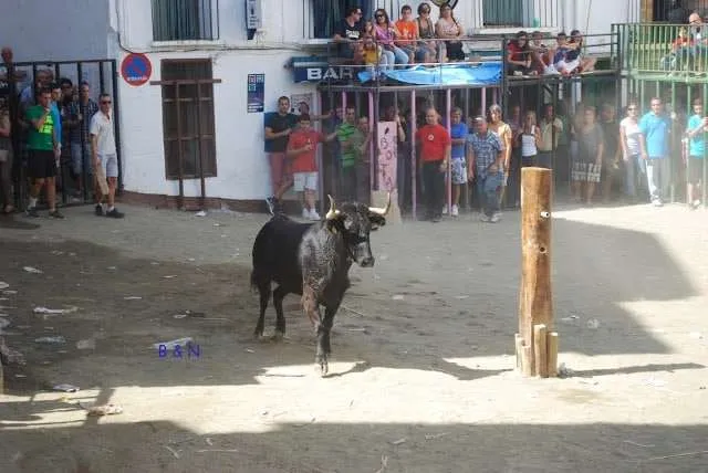 celebration with bulls in a village near Valencia in Spain