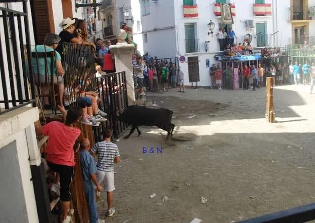 celebration with bulls in a village near Valencia in Spain