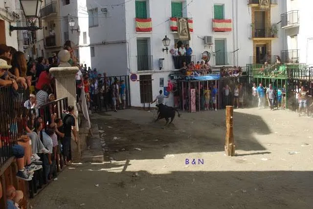 celebration with bulls in a village near Valencia in Spain