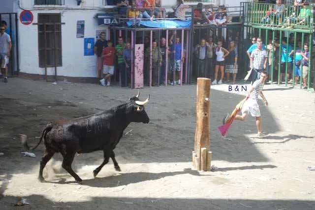 celebration with bulls in a village near Valencia in Spain
