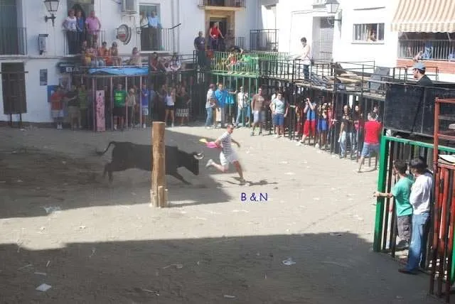 celebration with bulls in a village near Valencia in Spain