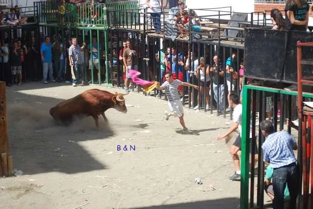 celebration with bulls in a village near Valencia in Spain