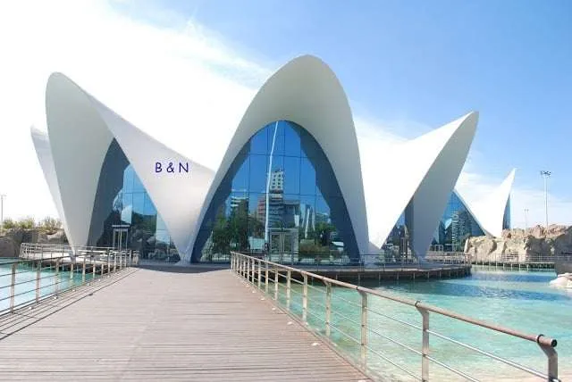 exploring the City of Arts and Sciences in Valencia, Spain