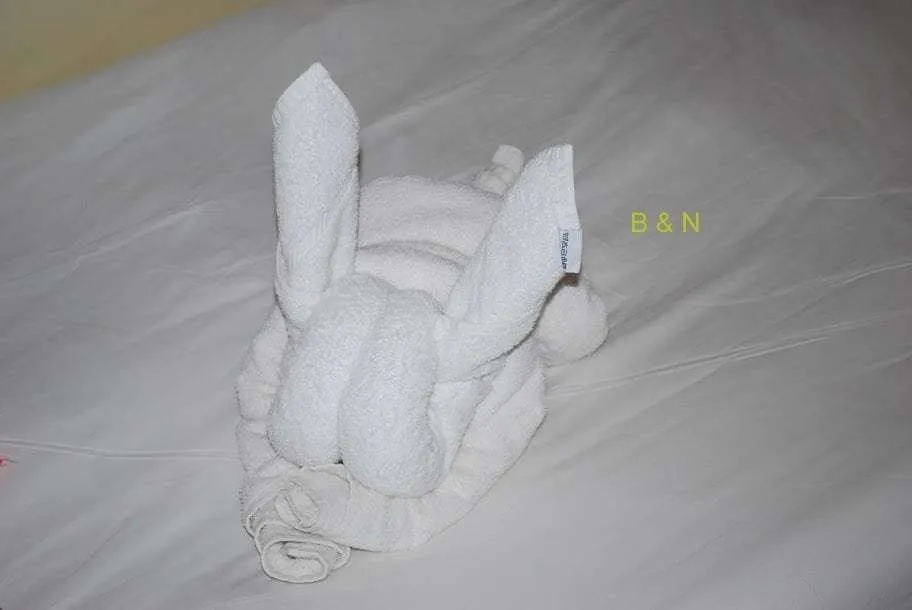 Aegean Sea Cruise towel bunny