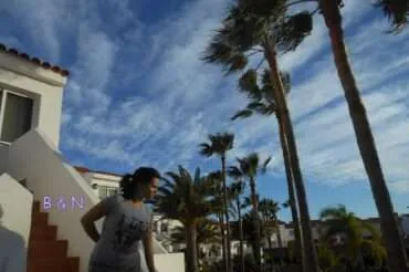 The Canary Islands – our Tenerife road trip itinerary