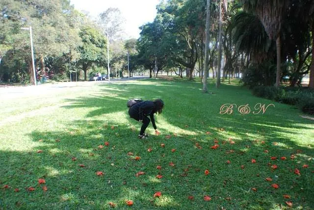 visiting São Paulo in Brazil