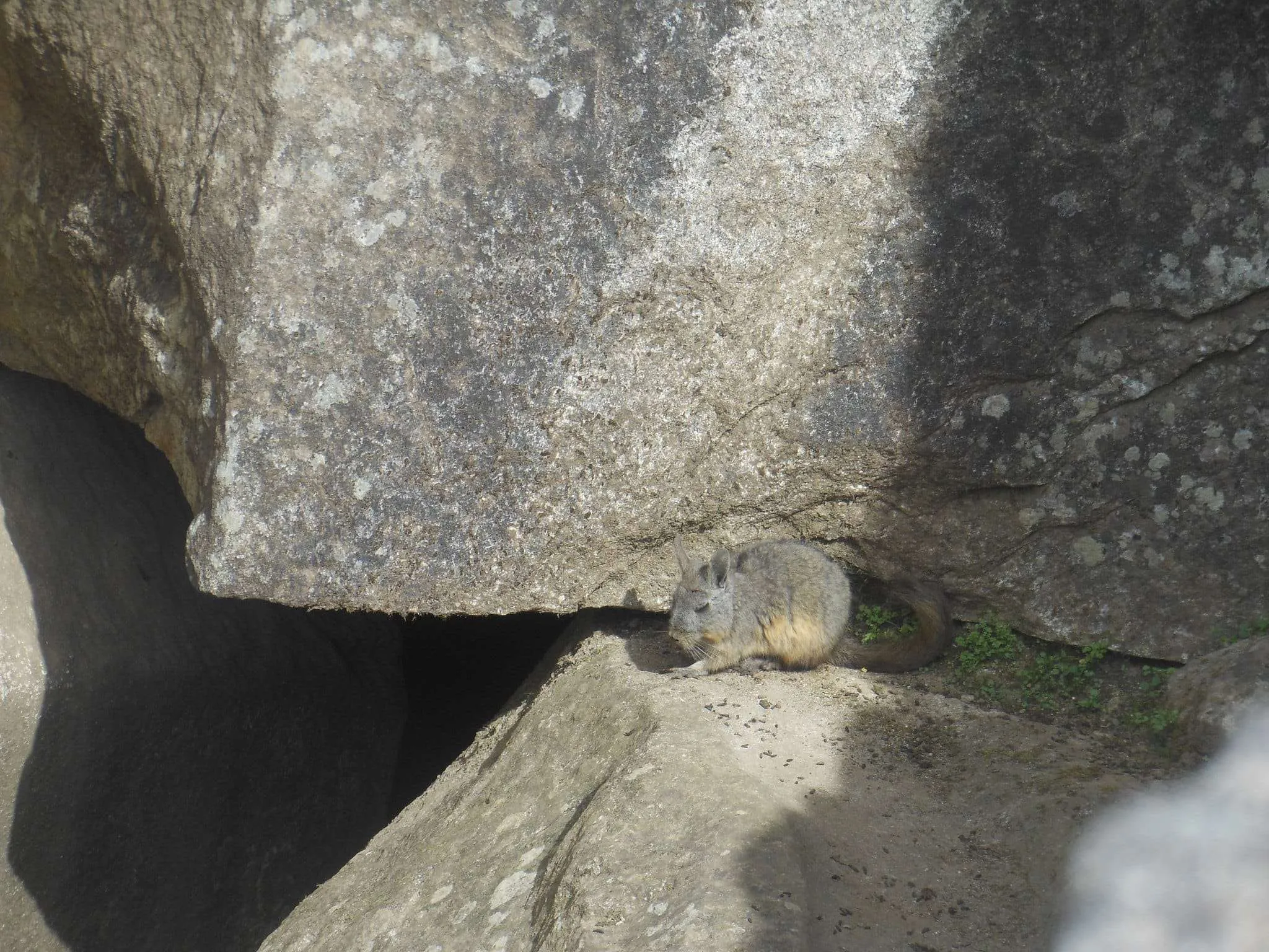 Peru - visiting Machu Picchu