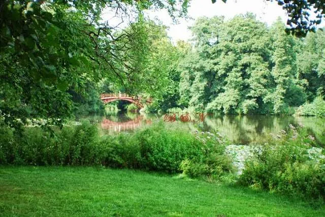 traveling to Berlin in Germany