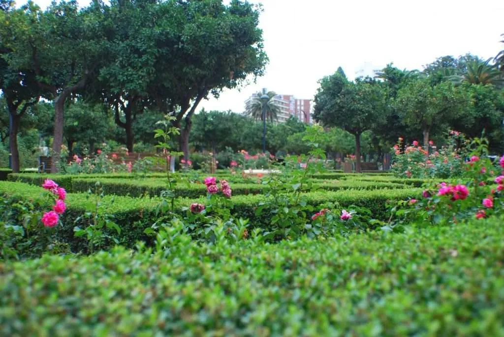 Spain, Malaga, green garden with roses
