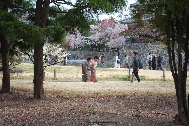 Matsumoto Castle, Japan itinerary