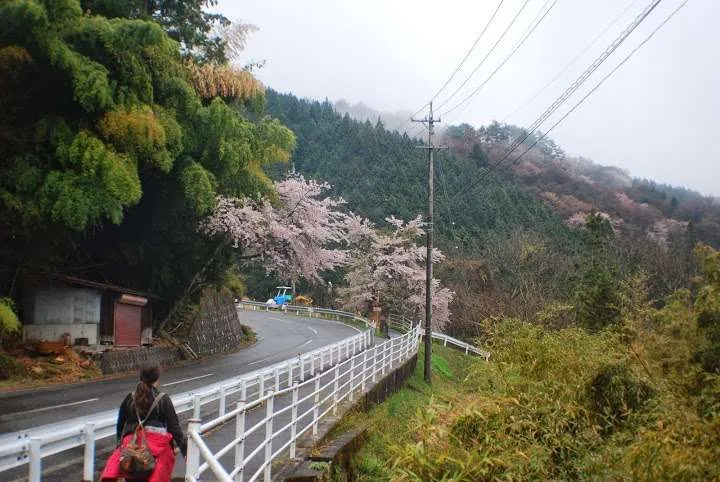 Hiking Nakasendo trail Magome Tsumago, Japan