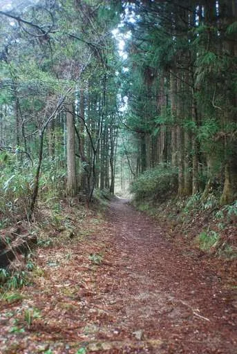Hiking Nakasendo trail Magome Tsumago, Japan