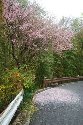 Hiking Nakasendo trail Magome Tsumago, Japan