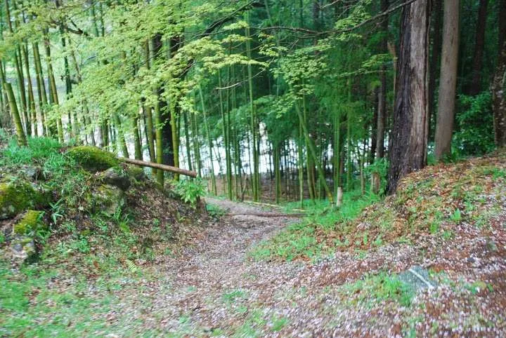 Hiking Nakasendo trail Magome Tsumago, Japan