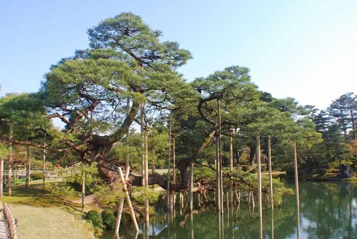 Japan itinerary, Kanazawa