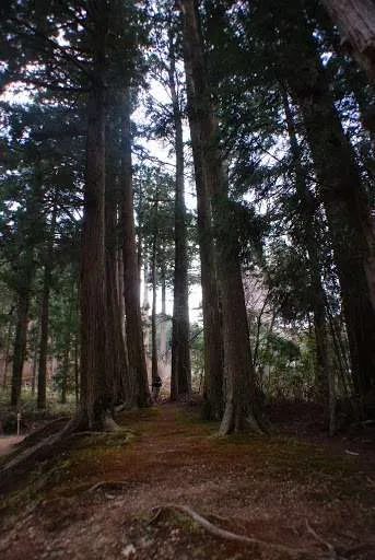 Japan, Koyasan temples