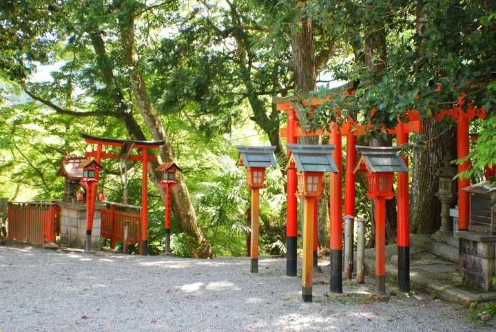 Japan, Yoshino