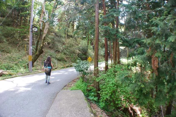 Japan, Yoshino