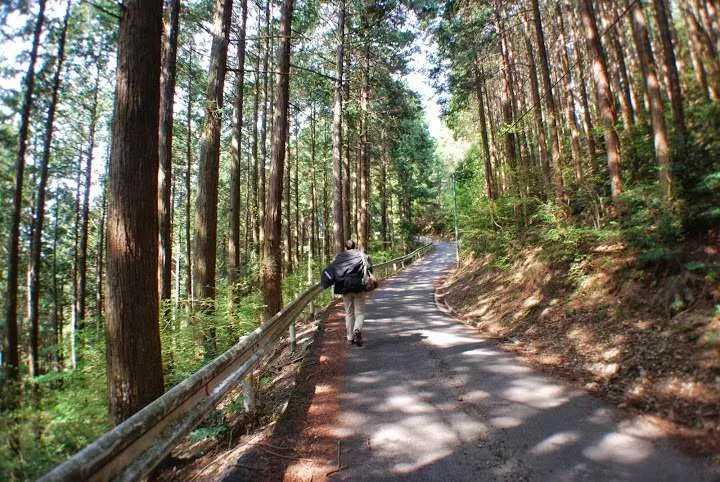 Japan, Yoshino