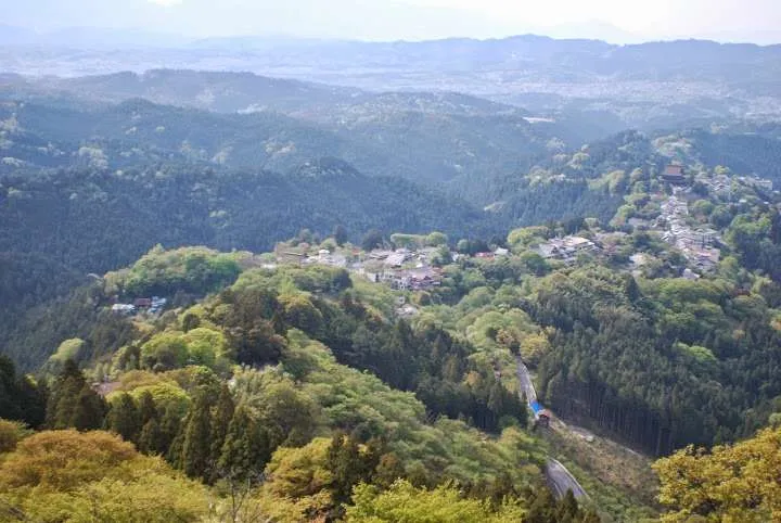 Japan, Yoshino