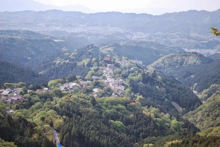 Japan, Yoshino