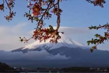 Our Japan itinerary – 3 weeks in the Land of the Rising Sun