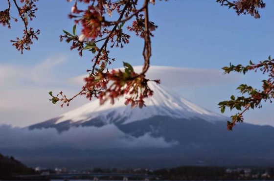 Our Japan itinerary – 3 weeks in the Land of the Rising Sun