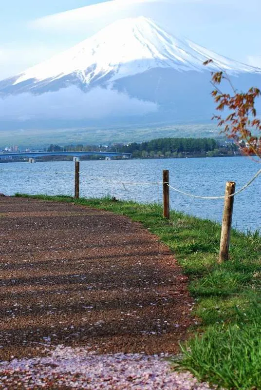 Japan, lake Kawaguchiko, Mount Fuji