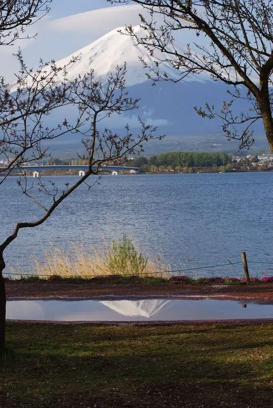 Japan, lake Kawaguchiko, Mount Fuji