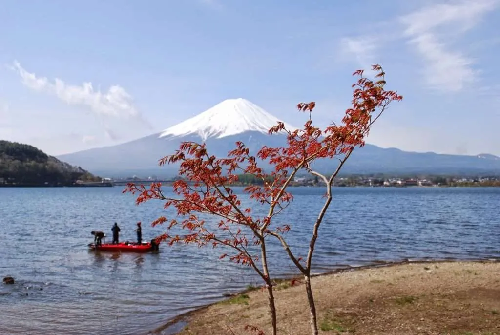 Japan, lake Kawaguchiko, Mount Fuji