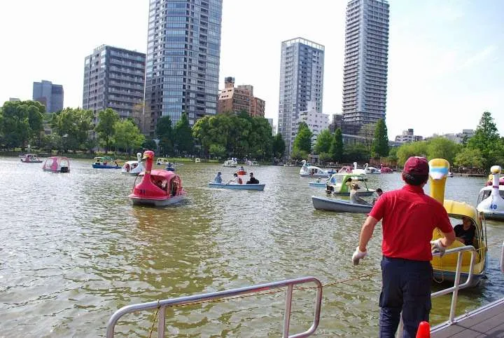 an unforgettable trip to Tokyo in Japan