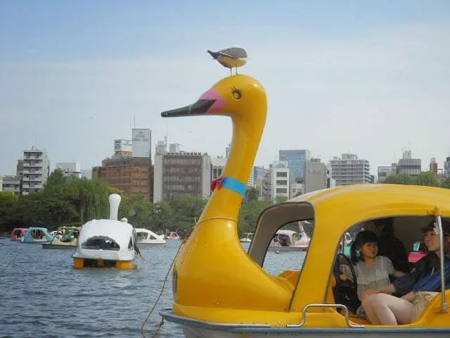 an unforgettable trip to Tokyo in Japan