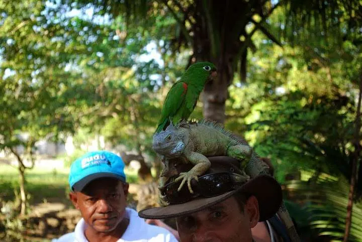 zoo and a garden from our trip in the Dominican Republic