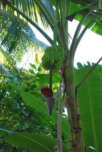 зzoo and a garden from our trip in the Dominican Republic