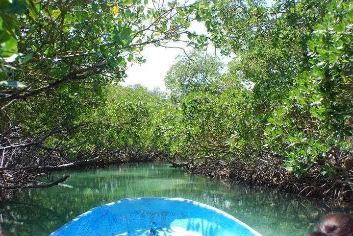 relaxing on Isla Paradiso - the heavenly island in the Dominican Republic