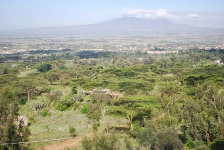 the beginning of our journey in Kenya - safari and Maasai Mara